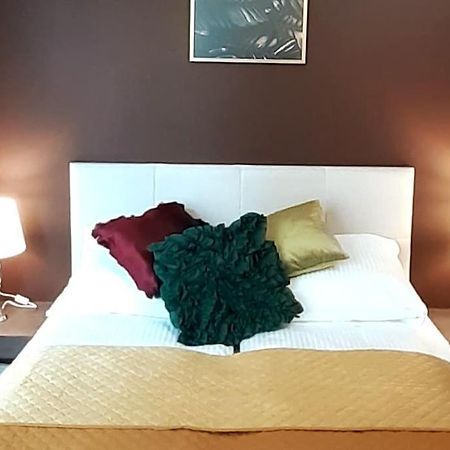 Luxury Apartment - Rakowicka 6 Krakow Ngoại thất bức ảnh